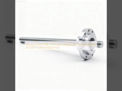 Serviceroboter Hochlast-Tablett-Hebeschraube Präzisions-Linearaktuator Sonderanfertigung